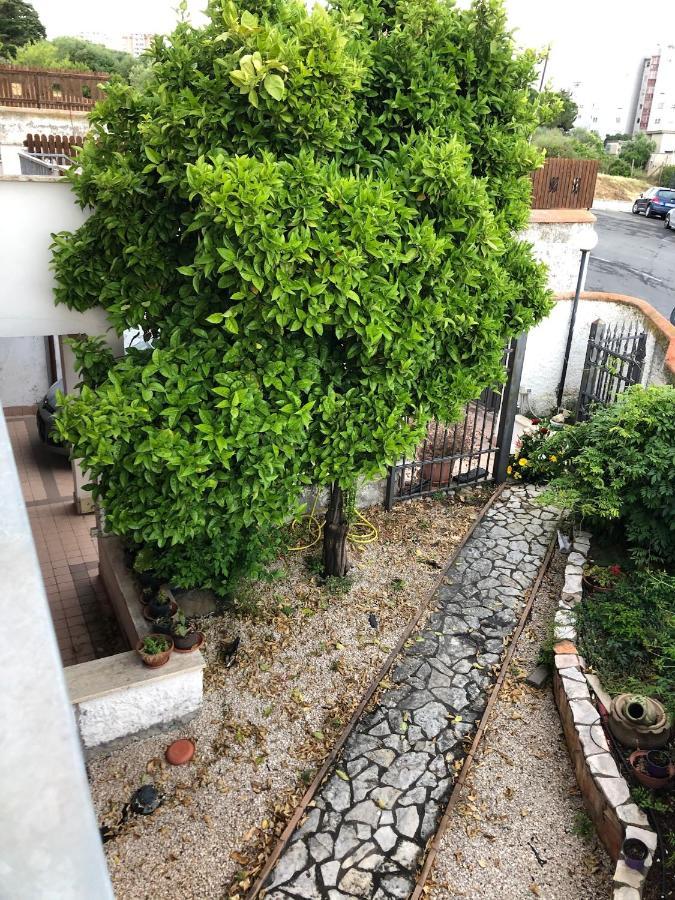 B&B San Liborio Civitavecchia Kültér fotó